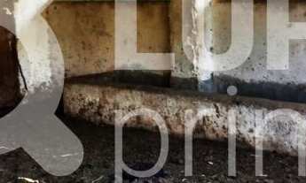 Imagem 4: Na Rodovia José Bueno De Miranda