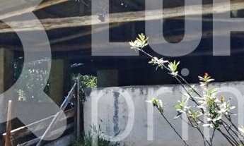 Imagem 2: Na Rodovia José Bueno De Miranda