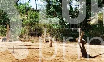 Imagem 5: Na Rodovia José Bueno De Miranda