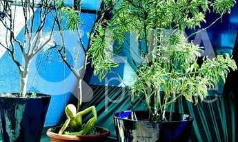 Imagem 3: 3 dormitórios na Avenida Conceição