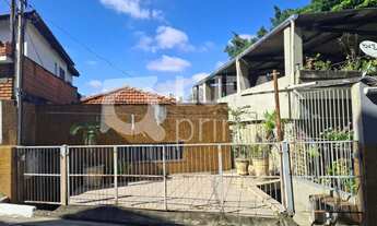 Imagem: Na Rua Neves Paulista