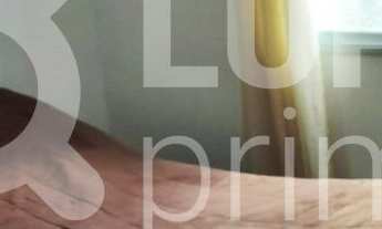 Imagem 2: 2 dormitórios na Rua José De Albuquerque