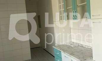 Imagem 4: 3 dormitórios na Rua Ana Ribeiro