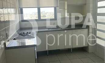 Imagem 3: 3 dormitórios na Rua Ana Ribeiro