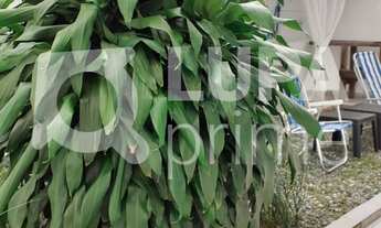 Imagem 6: 4 dormitórios na Rua Buquira