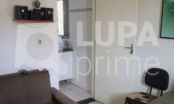 Imagem 4: 3 dormitórios na Rua Pascoal Gomes De Lima