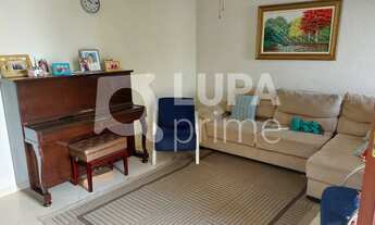 Imagem 2: 5 dormitórios na Avenida Daniel Malettini