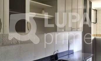 Imagem 5: 3 dormitórios na Avenida Das Cerejeiras