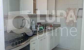 Imagem 6: 3 dormitórios na Rua Lavinio Salles Arcuri