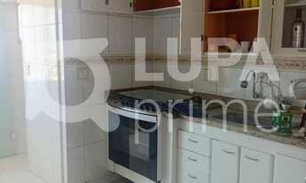 Imagem 4: 3 dormitórios na Rua Lavinio Salles Arcuri