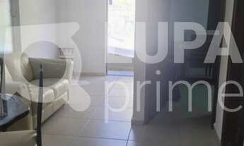 Imagem 7: 2 dormitórios na Rua Caranguejo