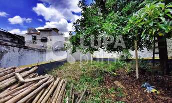 Imagem 4: Na Rua Irmãos Pila