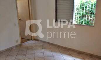 Imagem 5: 3 dormitórios na Rua Canhoneira Mearim