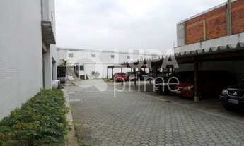 Imagem 2: 3 dormitórios na Rua Capitão Luis Ramos