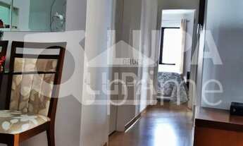 Imagem 5: 3 dormitórios na Rua Aluisio Azevedo