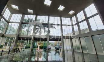 Imagem 2: Na Avenida Luís Stamatis