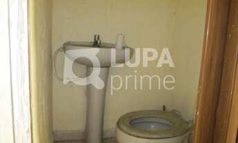 Imagem 4: Na Avenida Gustavo Adolfo