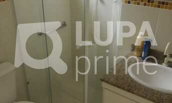 Imagem 7: 3 dormitórios na Rua Tapiraí