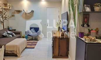 Imagem 4: 3 dormitórios na Rua Professor Dorival Dias Minhoto