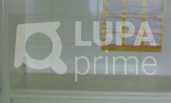 Imagem 7: 4 dormitórios na Rua Doutor Guilherme Cristofel