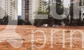 Imagem 2: Na Avenida Nova Cantareira