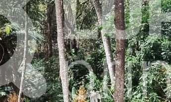 Imagem 6: Na Avenida Nova Cantareira