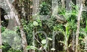 Imagem 7: Na Avenida Nova Cantareira