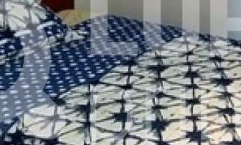 Imagem 3: 3 dormitórios na Rua Arlindo Lúcio Da Silva