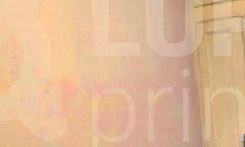 Imagem 5: 3 dormitórios, 1 banheiros, 1 vaga na garagem