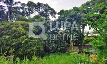 Imagem: Na Rua Parque Da Fonte