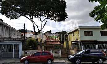 Imagem: Na Avenida Gustavo Adolfo