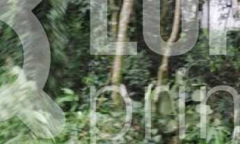 Imagem: Na Rua Manuel Martins