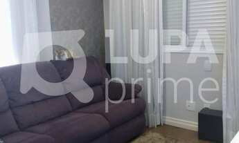 Imagem 5: 2 dormitórios na Rua Ausonia