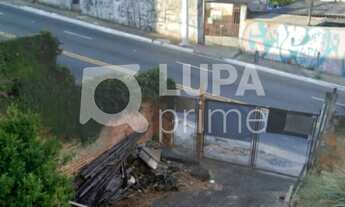 Imagem: Na Avenida Elisio Teixeira Leite