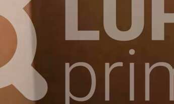 Imagem 2: 4 dormitórios na Rua Rosa Maria