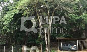 Imagem 3: Na Rua Do Horto Terreno / lote com venda por R$1.100.000