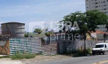 Imagem: Na Avenida Júlio Buono