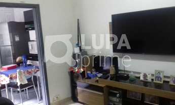 Imagem 6: 3 dormitórios, 1 suítes, 3 banheiro