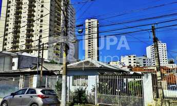 Imagem: Na Rua Vicente Soares