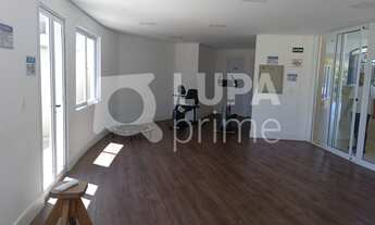 Imagem 3: 3 dormitórios na Rua Pedro