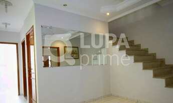 Imagem 2: 3 dormitórios na Rua Dona Elfrida