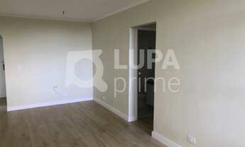 Imagem: 3 dormitórios na Rua Bento Araujo