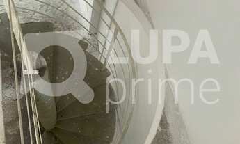 Imagem 7: 3 dormitórios na Rua Elza Guimarães