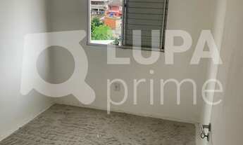 Imagem 2: 3 dormitórios na Rua Elza Guimarães