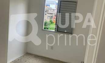 Imagem 3: 3 dormitórios na Rua Elza Guimarães