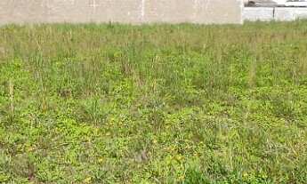 Imagem 2: Terreno à venda, Bairro Czerniewicz, Jaraguá do Sul/ SC