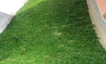 Imagem: Casa para alugar em Teresópolis