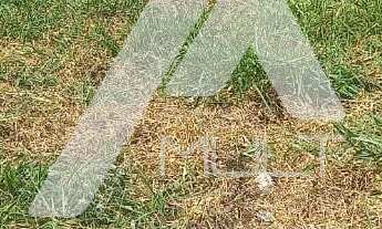 Imagem 3: Terreno com 250m , À venda, Jd. Santa Julia, SÃO JOSÉ DOS CAMPOS SP