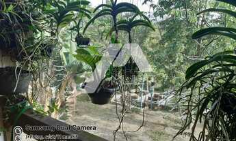 Imagem 5: Chácara com 3 dormitórios à venda,1280.00 m , Toca do Leitão, SANTA BRANCA - SP