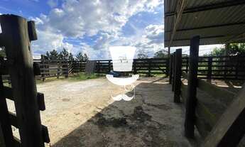 Imagem 3: Fazenda à venda em Antônio Carlos com 41h no bairro Barreiro